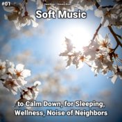 #01 Soft Music to Calm Down, for Sleeping, Wellness, Noise of Neighbors