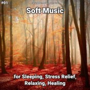 #01 Soft Music for Sleeping, Stress Relief, Relaxing, Healing