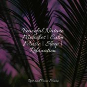 Peaceful Nature Melodies | Calm Music | Sleep | Relaxation