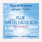 SONS DE LA NATURE APAISANTS DE LONGUE DURÉE : Pluie sur un tas de bois (Pour S'apaiser, Se Relaxer, Se Concentrer Ou S'endormir)