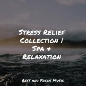 Stress Relief Collection | Spa & Relaxation