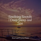 Soothing Sounds | Deep Sleep and Spa