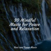 30 Mindful Music for Peace and Relaxation