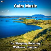 #01 Calm Music for Sleeping, Relaxing, Wellness, Slumber