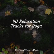 40 Relaxation Tracks for Yoga