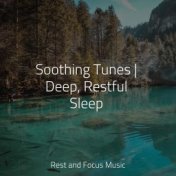 Soothing Tunes | Deep, Restful Sleep
