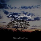 40 Relaxing Tracks for Sleep and Relaxation