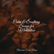 Calm & Soothing Songs for Meditation