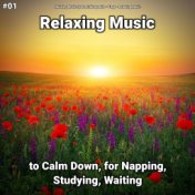 #01 Relaxing Music to Calm Down, for Napping, Studying, Waiting