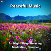 #01 Peaceful Music for Night Sleep, Relaxing, Meditation, Slumber