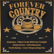 Forever Country, Vol. 1