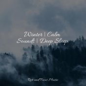 Winter | Calm Sounds | Deep Sleep