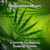 #01 Relaxation Music to Unwind, for Napping, Studying, Slumber