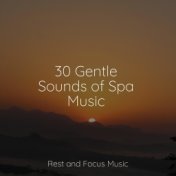 30 Gentle Sounds of Spa Music