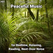 #01 Peaceful Music for Bedtime, Relaxing, Reading, Next-Door Noise