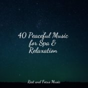 40 Peaceful Music for Spa & Relaxation