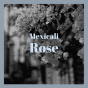 Mexicali Rose