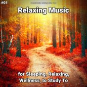 #01 Relaxing Music for Sleeping, Relaxing, Wellness, to Study To