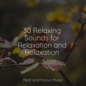 30 Relaxing Sounds for Relaxation and Relaxation