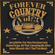 Forever Country, Vol. 3