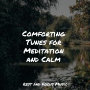 Comforting Tunes for Meditation and Calm