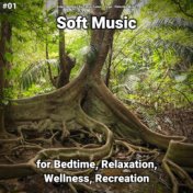 #01 Soft Music for Bedtime, Relaxation, Wellness, Recreation