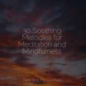 30 Soothing Melodies for Meditation and Mindfulness