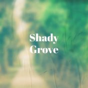 Shady Grove