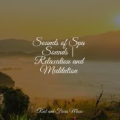 Sounds of Spa Sounds | Relaxation and Meditation