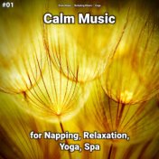 #01 Calm Music for Napping, Relaxation, Yoga, Spa