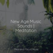 New Age Music Sounds | Meditation