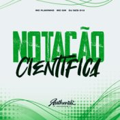 Notação Cientifica