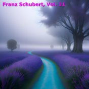 Franz Schubert, Vol. 11