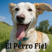 El Perro Fiel (En Vivo)