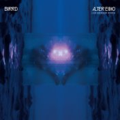 Alter Echo (Les Gordon Remix)