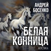 Белая конница (Акустика)