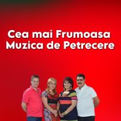 Cea mai Frumoasa Muzica de Petrecere