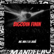 Bigodin Finin