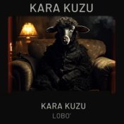 Kara Kuzu