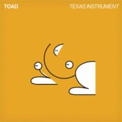 Texas Instrument