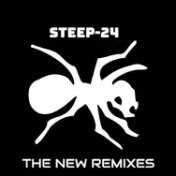The New Remixes