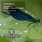 Dragonfly (Robert Reazon Remix)