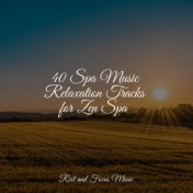 40 Spa Music Relaxation Tracks for Zen Spa
