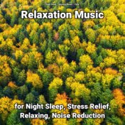 Relaxation Music for Night Sleep, Stress Relief, Relaxing, Noise Reduction