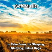 Soft Music to Calm Down, for Sleeping, Studying, Cats & Dogs