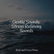 Gentle Sounds: Stress Relieving Sounds