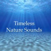 Timeless Nature Sounds - 20 Soothing Rain, Ocean and Water Melodies for Beating Stress & Anxiety, Relaxation, Meditation, Deep F...