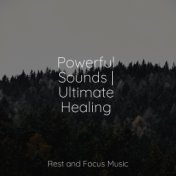 Powerful Sounds | Ultimate Healing