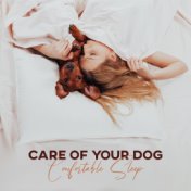 Care of Your Dog (Comfortable Sleep and Relief for Your Pet with Calm Sounds)