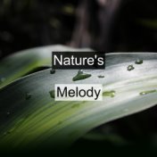 Nature's Melody